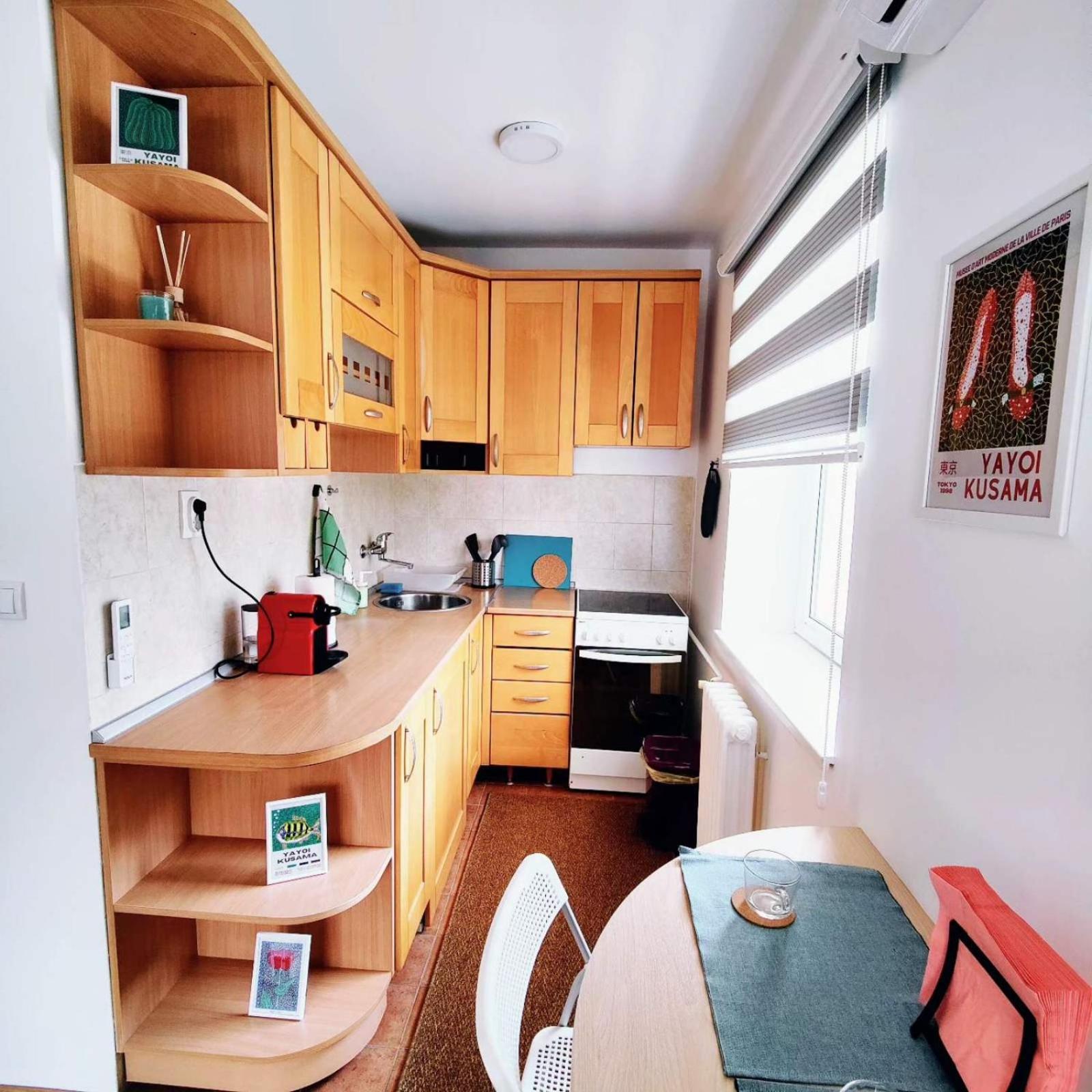 Wicker Park Apartment Novi Sad Esterno foto